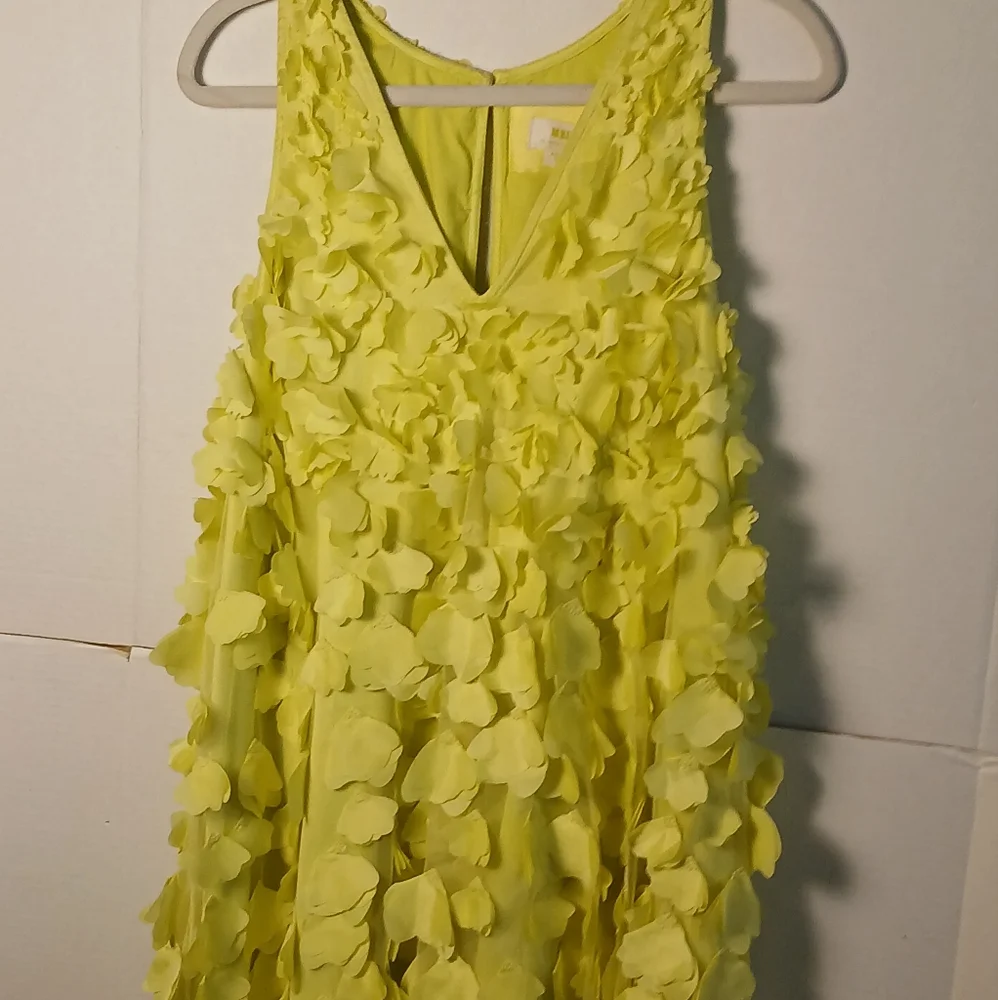 ANTHROPOLOGY Maeve FLOATY Sunny Lemon Lime Appliqued MINI Dress. Size M EUC! - Picture 8 of 13